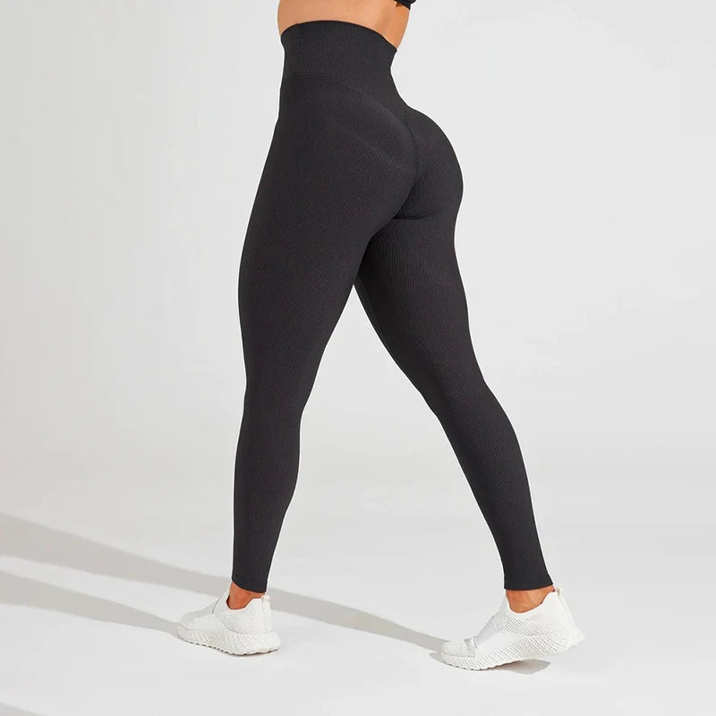 Wholesale Ribbed High Rise V Front Waist Glute Contouring Back Waistband No Front Rise or Side Seams Yoga Tight Fitness Leggings