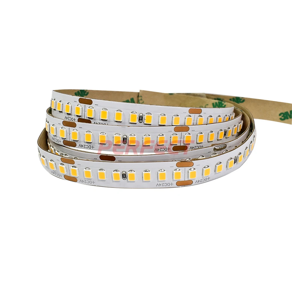 High Lumen Efficienc160lm/w Wholesale  24V 5M 10M Tape Lighting SMD 2835 Flexible Remote Tiras Luces Waterproof LED Strip Lights