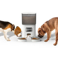 Two-Way Splitter and Double Bowls Voice Recorder Automatic Cat Feeder Pet Feeder Food Dispenser for Cat and Small Dog