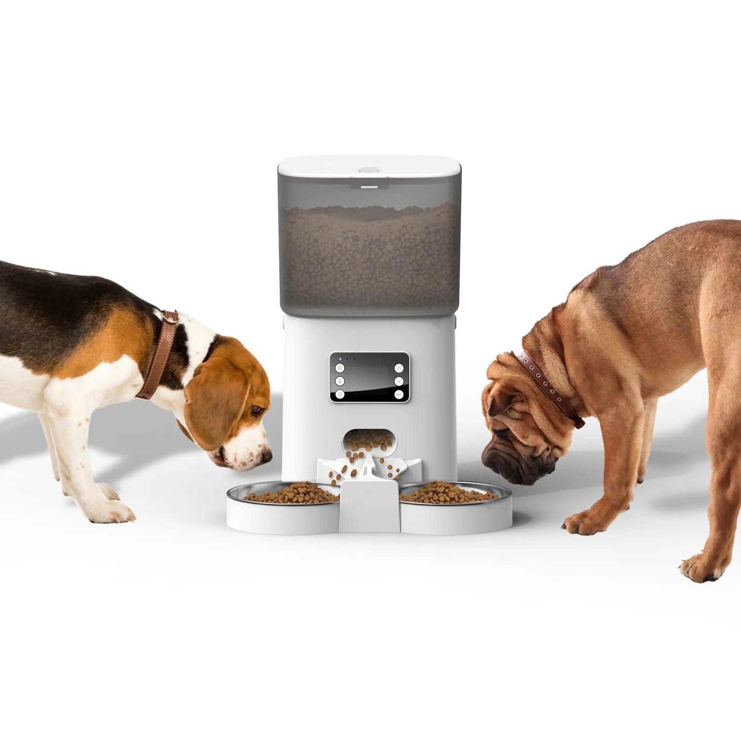 Two-Way Splitter and Double Bowls Voice Recorder Automatic Cat Feeder Pet Feeder Food Dispenser for Cat and Small Dog
