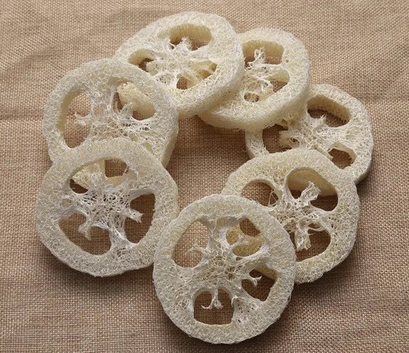 Loofah Sponge Exfoliating Loofah Pads Luffa Soap Holder Mold Saver