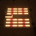 KingBrite 35W KB102 Board LED Grow Lamp Lm301h Mix Epistar 660nm for Small Grow Box