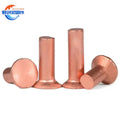 Countersunk Head Rivet Copper Rivet Nut Fasteners Manufacturer Copper Rivet Nut