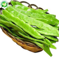 XMSD Frozen Green Romano Beans Wholesale Price Healthy and Nutritious Sliced Sawn Segmented Shredded Chopped Potatoes