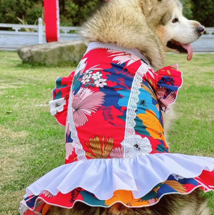 Stocked Xxx Large Breed French Bull Dog Dress Dog Clothes