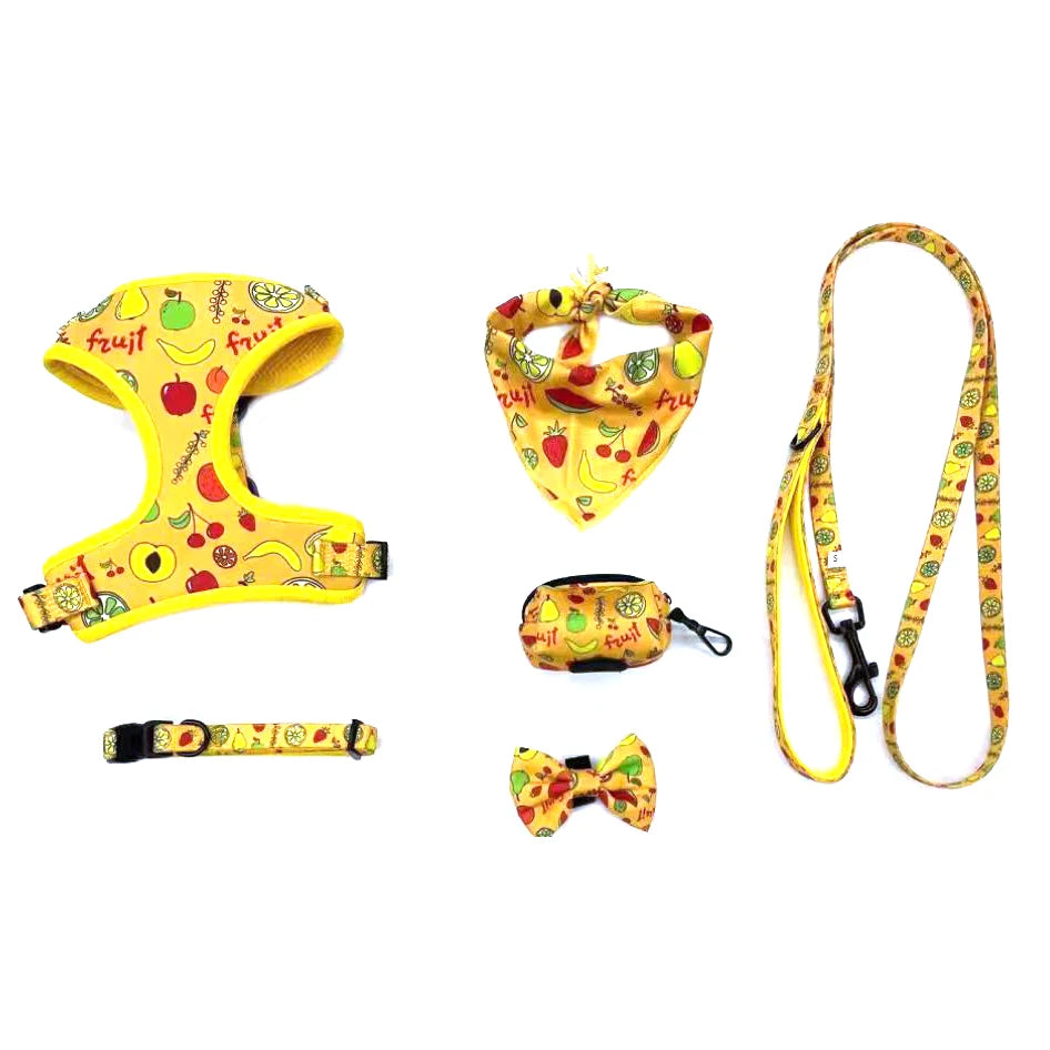 Ready to Ship on Stock Low MOQ Fashion Eco Friendly Soft Comfortable Neoprene Print Adjustable Pet Dog Harness Set