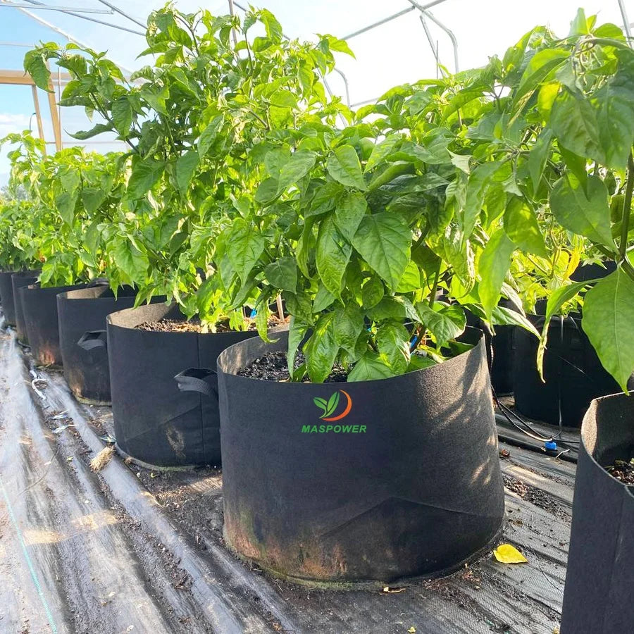 5 10 20 Gallon Geotextile Fabric Felt Planting UV Grow Bags for Vegetable blueberry strawberry .trees Growing