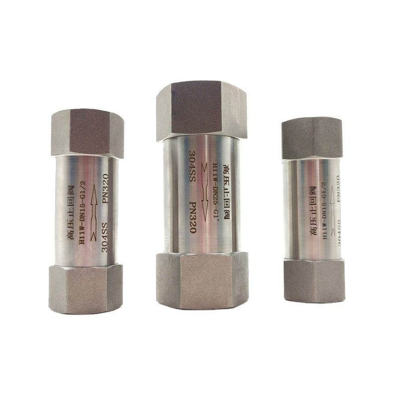 High Pressure One Way Valve 304 Stainless Steel 1/8" 1/4" 3/8" 1/2" 3/4" 1" 3.2 Mpa Male Thread Check Valve