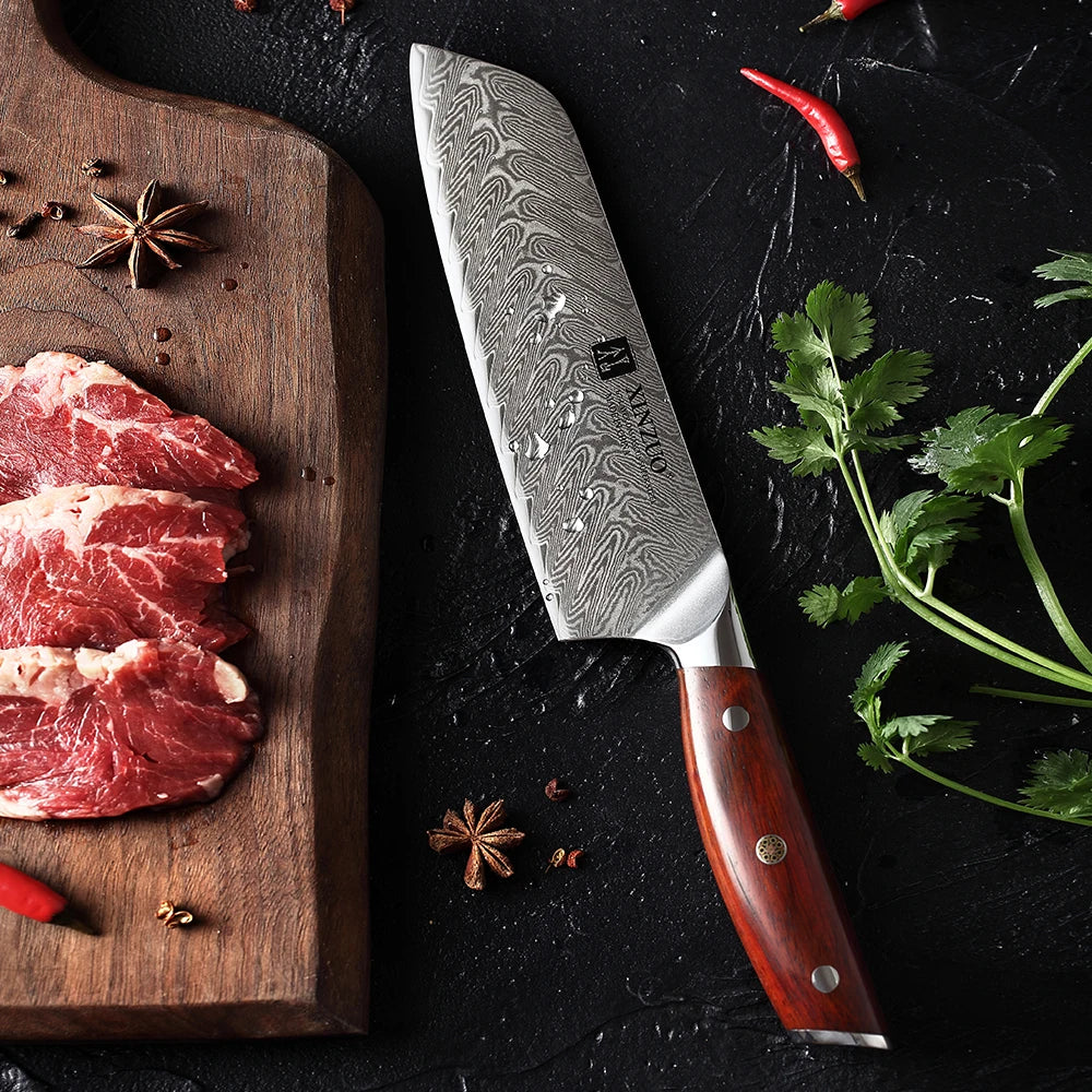 Professional 67 Layers Damascus Steel Japanese Knife Santoku Knife MegaBDM