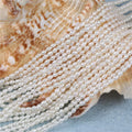 Wholesale 2-2.5mm Small Pearl a Rice Shape Freshwater Real Pearl Strand for Jewelry