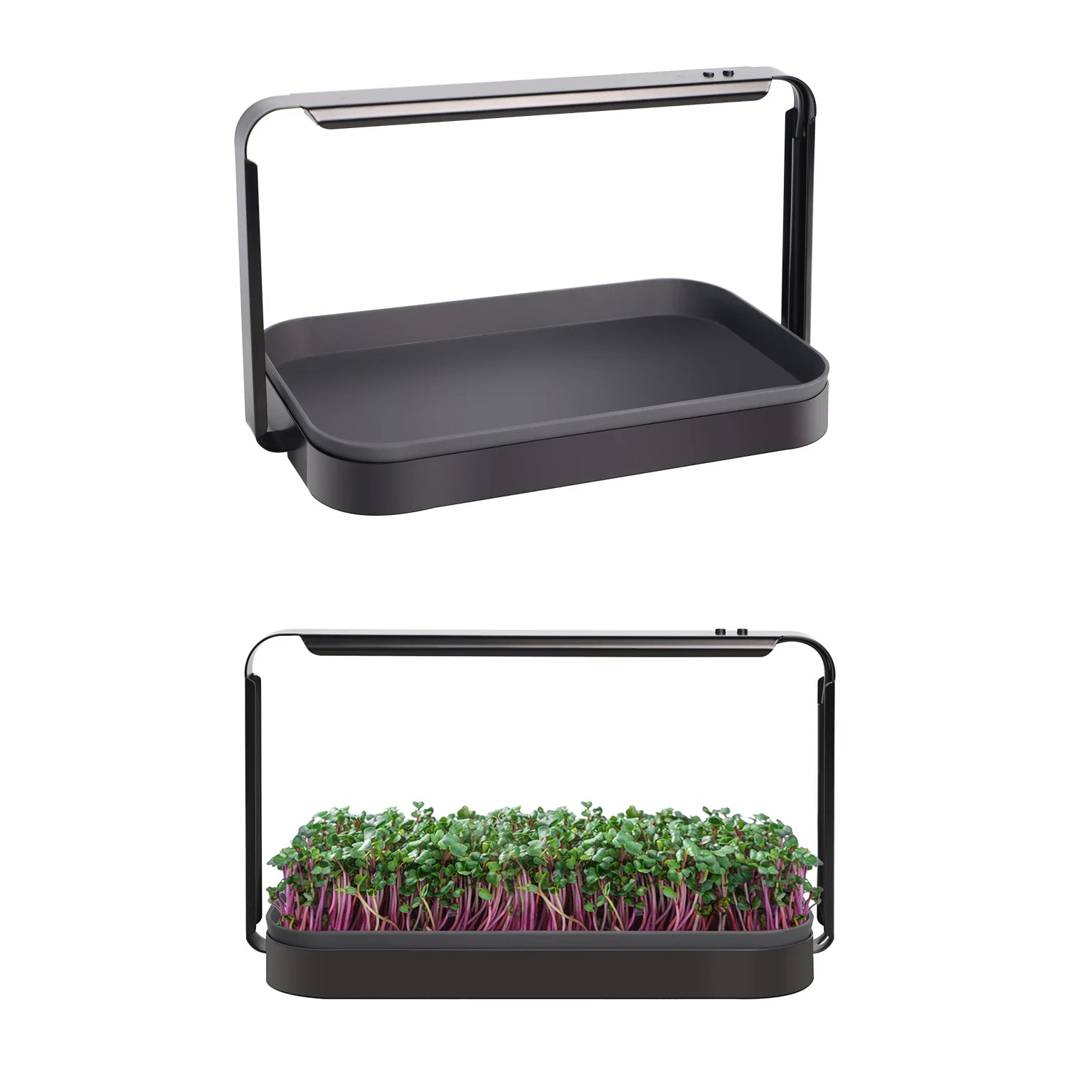 Newest Electronic Mini Indoor Garden Hydroponic Microgreen Plant Growing Full-Spectrum Light Automatic System Hanging Home