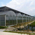 High-Quality Multi-Span Agricultural Greenhouse PC Board - UV-Protected Polycarbonate Sheet for Large-Scale Cultivation