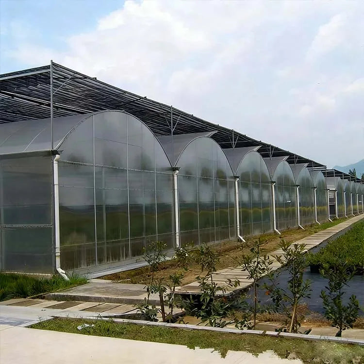 High-Quality Multi-Span Agricultural Greenhouse PC Board - UV-Protected Polycarbonate Sheet for Large-Scale Cultivation