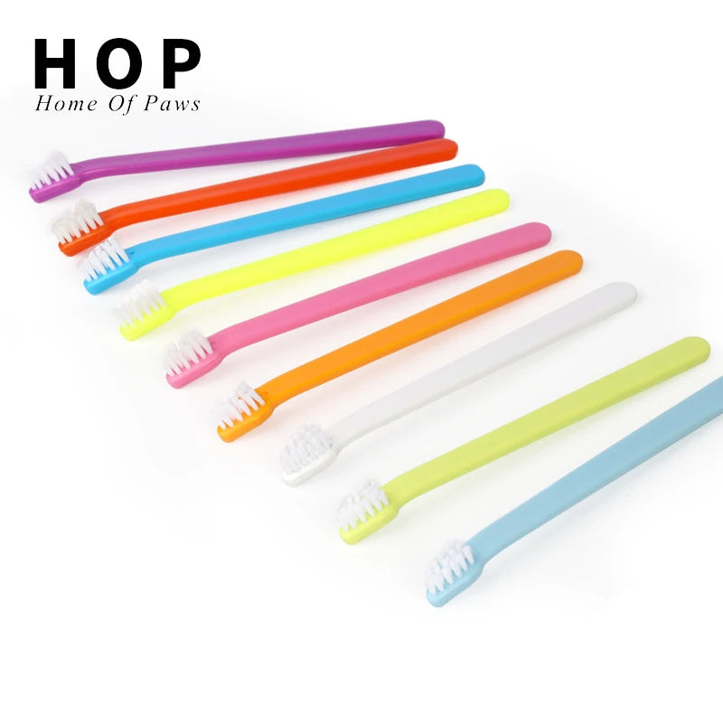 Factory Wholesale PVC Box Packaging Small Pet Tooth Brush Cat Pet Dog Toothbrush