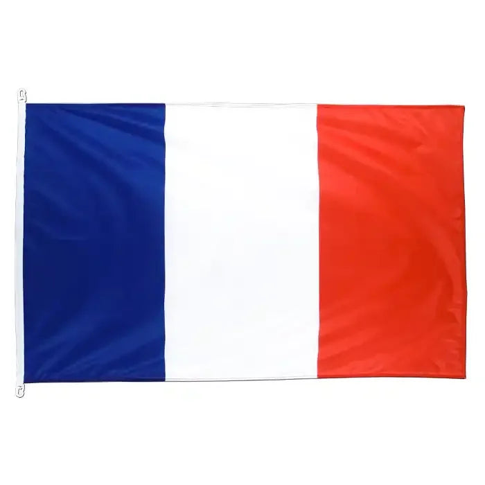 Hot Selling 100% Polyester 3x5ft Blue White Red with Brass Grommet French Flag