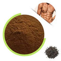 Supply Natural Fructus Psoraleae Seed Extract 10:1 Psoralea Corylifolia Extract Bakuchiol for Men Health