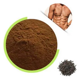 Supply Natural Fructus Psoraleae Seed Extract 10:1 Psoralea Corylifolia Extract Bakuchiol for Men Health