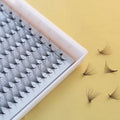 False Eyelashes with Pointy Base Fiber Material  Lash Extensions Wholesale  Eyelash Fans Large Tray  Soft Pro Made Fans Eyelash