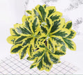 Factory Wholesale Artificial Plant Green Landscape Decoration Rich Lawn Plastic Grass for Hanging Wall Green Artificial Grass