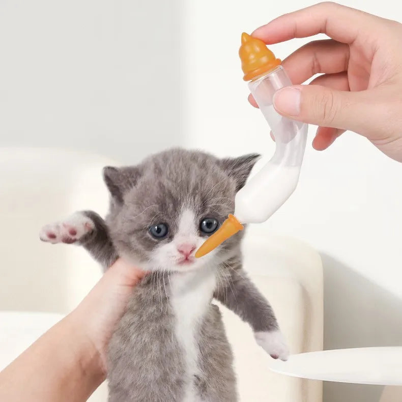 Wholesale Newborn Glass Material Curved Puppy Cat Dog Water Milk Bottle