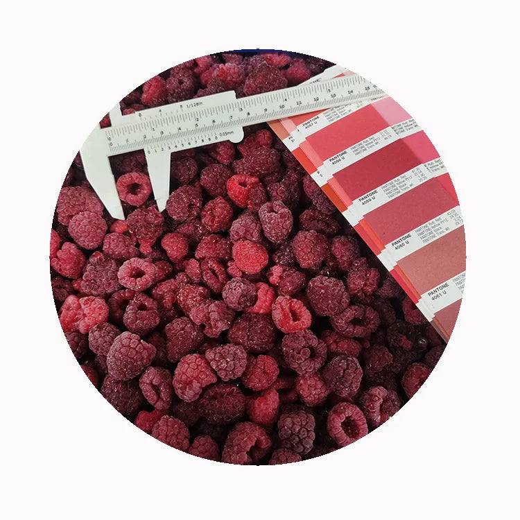 IQF Export Frozen Raspberries with Water Preservation Bulk Packaging Cheap Price for Sale