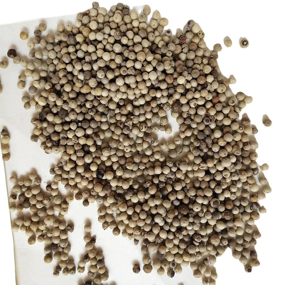 1KG Bai Hu Jiao Premium Quality Fructus Piperis Loose Whole Round White Pepper for Spice