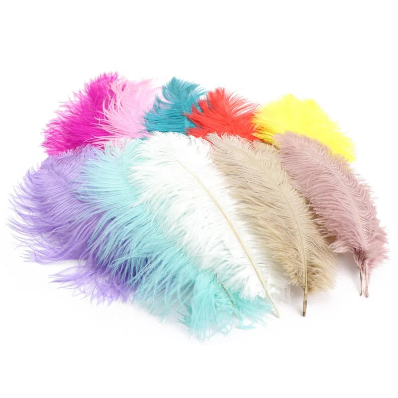 Colorful 25-30cm Hand Dye Dyed Ostrich Feathers HLY Brand Lovely Wedding Decorations