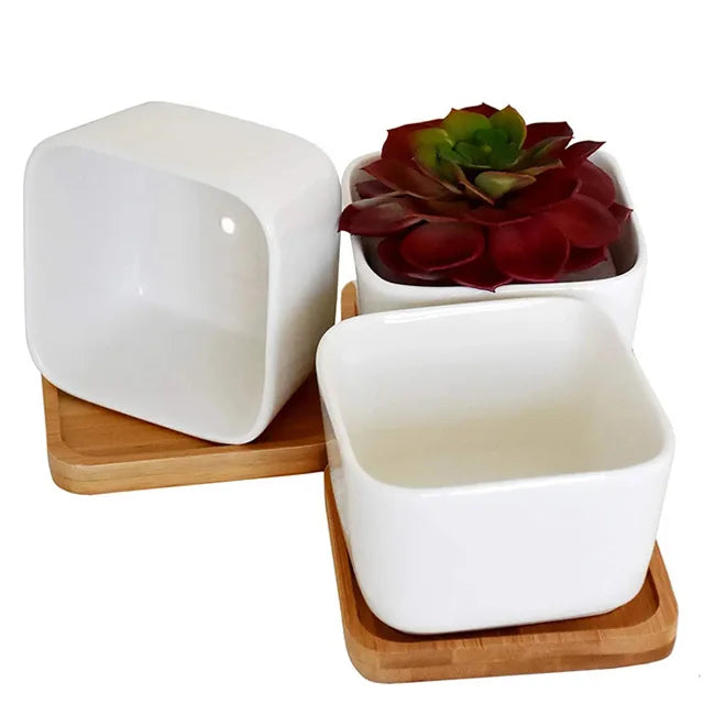 Wholesale 2.1 Inch Mini White Succulent Plant Pot With Bamboo Tray Set Cactus Faux Plants Containers for Window Box Office