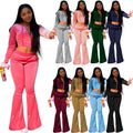 New New Winter Custom Women Crop Top Two Piece Set Velvet Sweatsuit Jacket Women Velour Tracksuits
