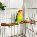 Bird Grape Wood Perch Bird Perch Stand Birdcage Accessories Parrot Perch Factory Direct Sale Ready Stock