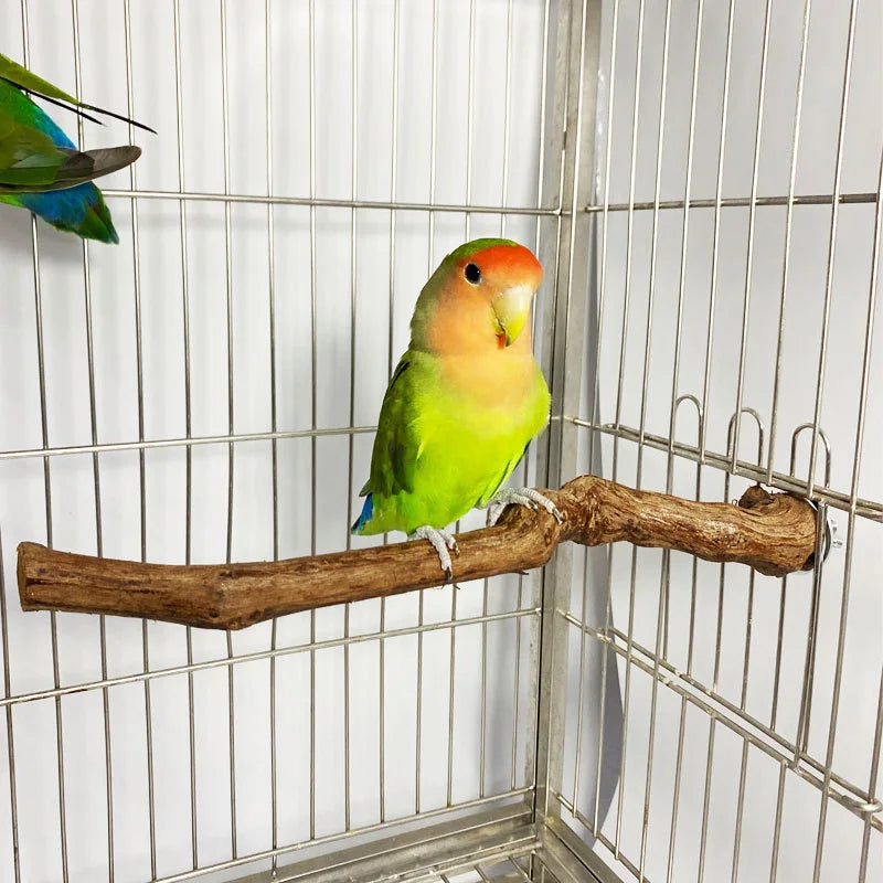 Bird Grape Wood Perch Bird Perch Stand Birdcage Accessories Parrot Perch Factory Direct Sale Ready Stock
