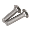 DIN 603 Stainless Steel Carriage Bolt with Plain Finish