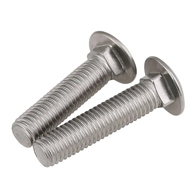 DIN 603 Stainless Steel Carriage Bolt with Plain Finish