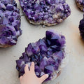 Hot Sale Large Amethyst Cluster Flower Natural Raw Rough Amethyst Cluster for Decoration