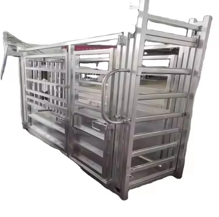 BaoChuan Heavy-Duty Stainless Steel Cattle Crush Fencing Trellis Gates for Construction Site Livestock Farm Equipment