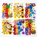 JH-HD Mostly Buyer Choice Color Mixed Pressed Flowers Dried Flowers Bag Packed for Resin Jewelry