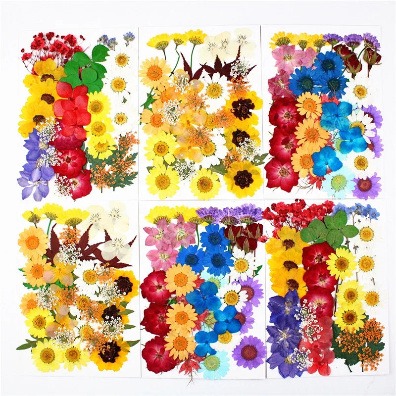 JH-HD Mostly Buyer Choice Color Mixed Pressed Flowers Dried Flowers Bag Packed for Resin Jewelry