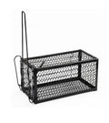 2022/2023 Best Sellers Indoor Solid Live Mouse Trap No Kill Humane Rat Cage for Snakes and Birds