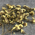 4068 Ying Chun Hua Dried Jasminum Nudiflorum Flower for Tea