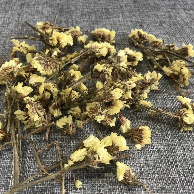 4068 Ying Chun Hua Dried Jasminum Nudiflorum Flower for Tea