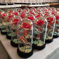 Wholesale Eternal Valentines Day Gift 24K Led Rose Rainbow Galaxy Rose