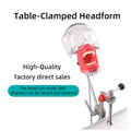 LK-OS25B Periostis Dental Chair Head Simulator Training Model Simulation Manikin Unit Price for University