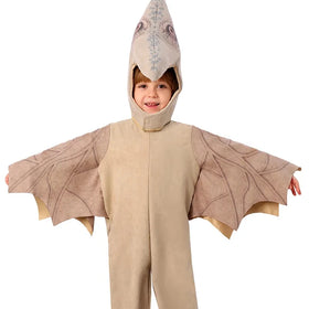 Children's Day Party Costume Jurassic World Pterosaur Cosplay Cute Dinosaur Animal Clothes