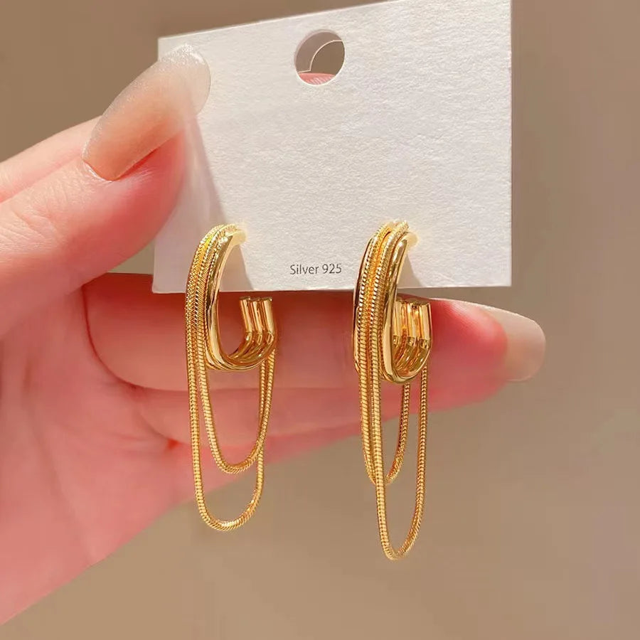 SC 2024 Simple Double Chain Tassel Earrings S925 Silver Needle Stud Earrings Gifts for Women