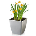 BRICE  Self Watering Planter Plastic Plant Pot Desktop Mini square Plastic Flower Pot
