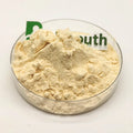 High Quality Food Additives Base Flavors Cheese Cheddar Powder