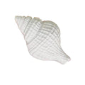 Hot-Sale Eco-Friendly Marine Series Starfish Plaster Mold Gift Decorative Ornament Scent Stone Fragrance Diffuser Customizable