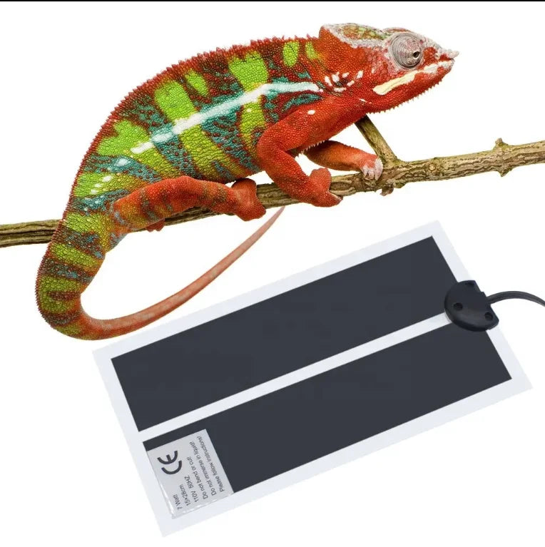 Luxury Modern PVC Solid Pattern Reptile Heating Pad with Temperature Adjustment for Small Animals