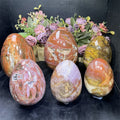 Natural  Fengshui Natural Crystals  Handmade Healing Stone Wood fossil Egg  for Decoration