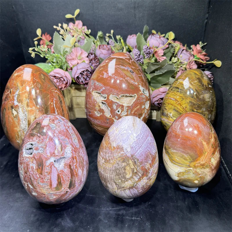 Natural  Fengshui Natural Crystals  Handmade Healing Stone Wood fossil Egg  for Decoration